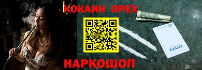 молекула духа Кингисепп