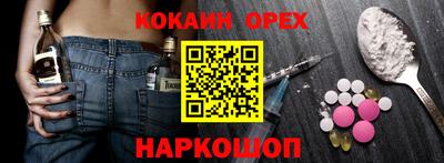 молекула духа Кингисепп
