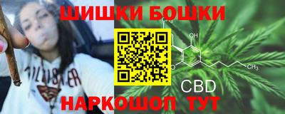 молекула духа Кингисепп