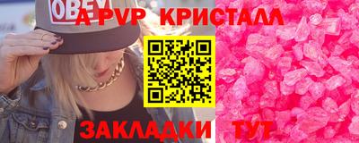 молекула духа Кингисепп