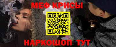 молекула духа Кингисепп