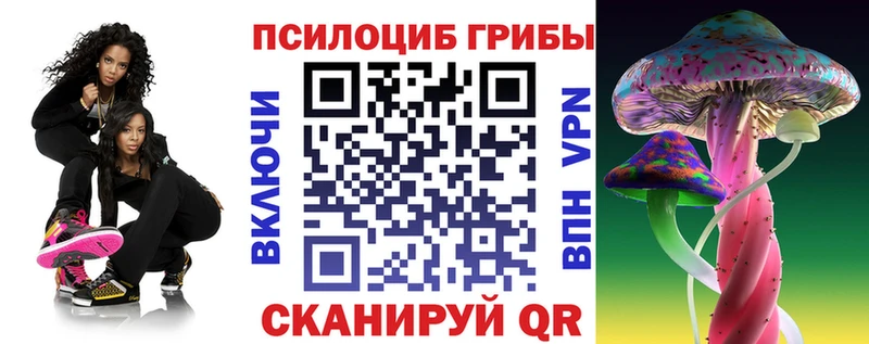 что такое Нефтекамск Галлюциногенные грибы мицелий
